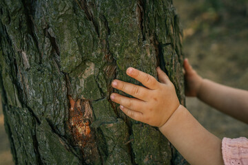 Close-up of a child's hand gently touching the rough bark of a tree trunk in a serene forest setting