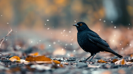 Western Jackdaw (Coloeus monedula) perched on a branch ai generative.