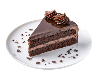 Chocolate cake slice on a white plate with shavings, transparent
