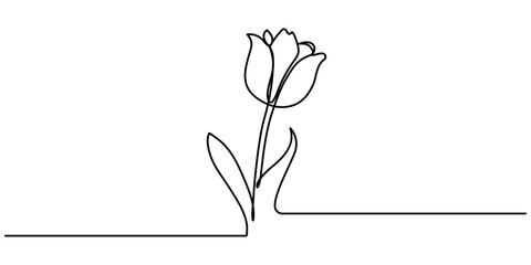 Tulip one line drawing.Abstract flower continuous line. Minimalist contour drawing of tulip. Continuous line drawing of flower tulip.Hand drawn sketch of flower with leaves, Flower drawing mono line. 