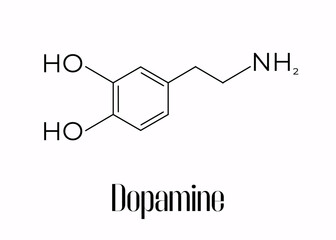 Dopamine molecule. Symbol for biology, chemistry, naturopathy, medicine. Isolated on white.