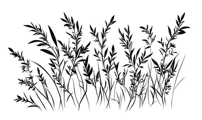 Obraz premium Silhouette of a grass blade vector. Isolated drawing of herbs on a white background