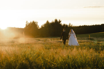 morning in the field © Natalie