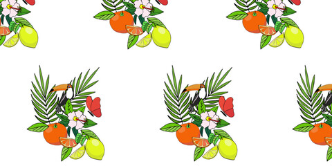 Vector color drawing of fruit lemon, orange, tropics, tropical plants, toucan. Seamless pattern