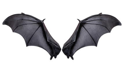 A pair of bat wings with a leathery texture and detailed veining Element Transparent PNG