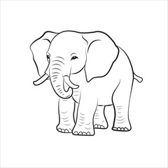 Fototapeta premium vector elephant line art illustration