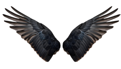 Dynamic photo of black angel wings, perfect for fantasy themes, spiritual or artistic concepts in stock images. High-resolution and impactful.