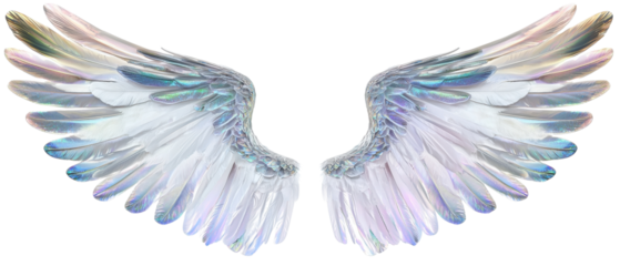 Elegant pair of light, iridescent angel wings with delicate feathers, symbolizing purity, hope, and divinity, perfect for fantasy themes.