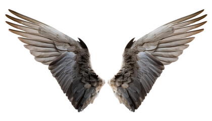 Naklejka premium Isolated image of majestic, detailed feather wings, open in a symmetrical arrangement, ideal for design projects or fantasy themes.