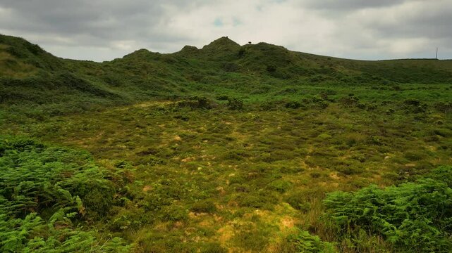 Nat&uuml;rliche Kuhweide auf der gr&uuml;nen, bergigen Azoren-Insel Terceira &ndash; Drohnenaufnahme in unber&uuml;hrter Natur