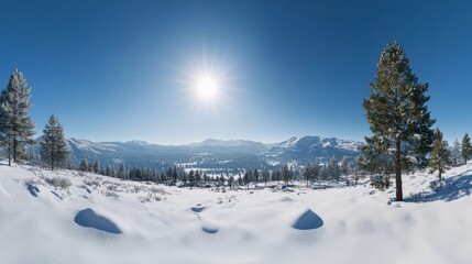 Panoramic view of a snowy landscape with pine trees and distant mountains under a clear blue sky. 