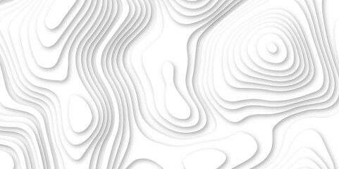 White 3d papercut vector format 3d shadow abstract wallpaper fresh tiles design curved topology or topography 3d map texture backdrop illustration paper template
