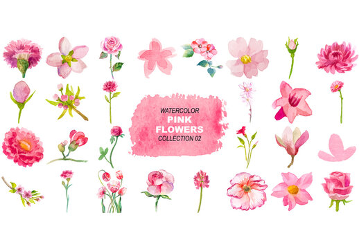 Vector watercolor painted pink flowers clipart. Hand drawn elements isolated on white background