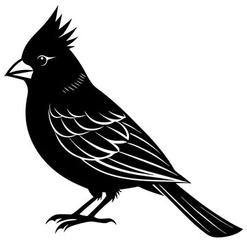 recommend clip art: Cardinal  bird silhouette black vector art illustration on  white background