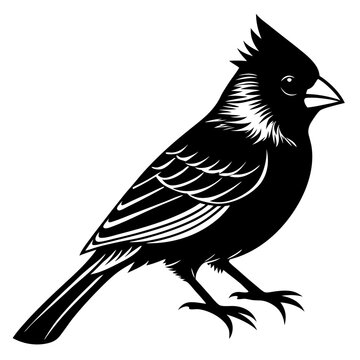 recommend clip art: Cardinal  bird silhouette black vector art illustration on  white background