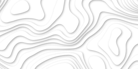 White 3d papercut vector format 3d shadow abstract wallpaper fresh tiles design curved topology or topography 3d map texture backdrop illustration paper template