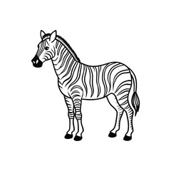 Zebra vector illustration line out vector illustration design.