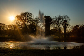 Water fountain in a pond with early morning sunrise