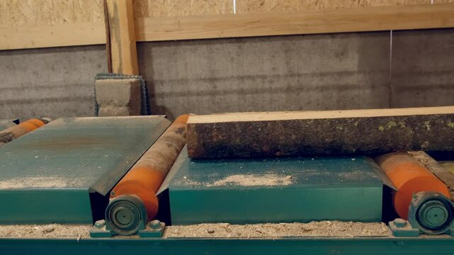 Logs moving on conveyer transporter from cutting machine at woodworking plant. Timber processing and woodworking industry. Working process sawing raw wood boards on saw-mill factory in cut workshop.