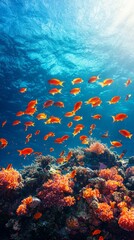 Naklejka premium A vibrant underwater scene featuring colorful fish swimming above stunning coral formations in crystal clear ocean water.