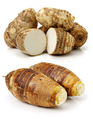 Taro on a white background