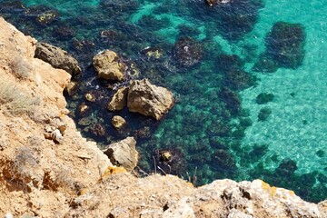 Coral reef in the sea