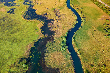 Aerial view of the lush ecosystem around Lake Skadar in Montenegro, featuring swampy areas and...