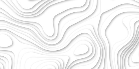 Fototapeta premium White 3d papercut vector format 3d shadow abstract wallpaper fresh tiles design curved topology or topography 3d map texture backdrop illustration paper template