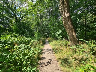 Spaziergang durch einen Park in Bad Doberan, Mecklenburg - Vorpommern