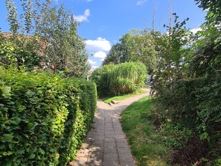 Obraz premium Naturpfad durch eine Gartenanlage in Bad Doberan, Mecklenburg - Vorpommern