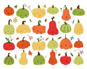 Fall squash. Food Halloween, autumn garden leaves and nuts. Thanksgiving celebration decor isolated elements. Farm cute agriculture. Ornament pumpkin vegetable. Vector tidy cartoon flat isolated set