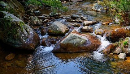 A hidden brook tumbles down a series of mossy steps, creating a natural staircase of small cascades. The air is cool and misty, filled with the soothing sound of falling water.
