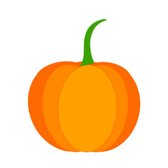 Pumpkin vegetable isolated on transparent background. Vector illustration