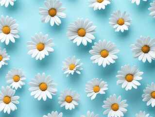 Daisies on blue background