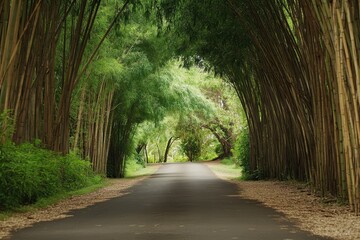 Fototapeta premium A serene pathway lined with bamboo, inviting exploration and tranquility.