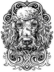 Fototapeta premium Poodle Dog head very simple traditional tattoo flash styles illustration