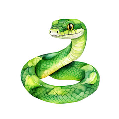 Fototapeta premium snake watercolor clipart, perfect for nursery, isolated on white background