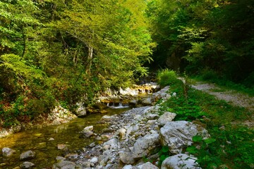 Bistrica stream near Preddvor next to a trail in Slovenia