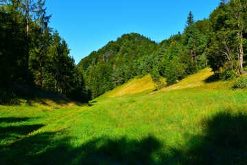 View of a hill above Tiha Dolina on the way to Jošt and Špičasti hrib in Gorenjska, Slovenia © kato08