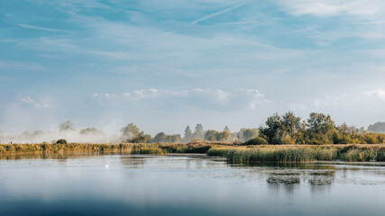 landscape of a lake with a swan
