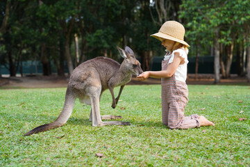 Little Girl Feeding a Kangaroo by Hand in an Open Nature Park © Evgeniia