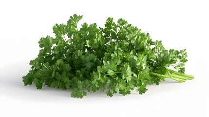 Fototapeta premium Vibrant Parsley Leaves Cascading Against Pristine White Backdrop in Botanical Close Up Photography