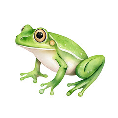 Fototapeta premium frog watercolor clipart, perfect for nursery, isolated on white background