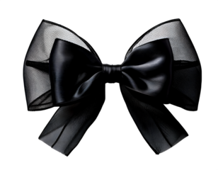 On PNG, a realistic black bow made of tulle fabric mesh