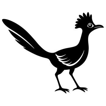 recommend clip art: roadrunner silhouette vector bird black