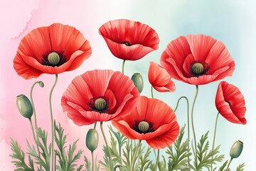 Fototapeta premium Charming Red Poppy Blossoms on Serene Pastel Watercolor Background Floral Aesthetic Art