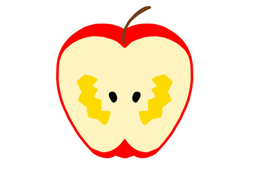 可愛いリンゴの断面＿線なし