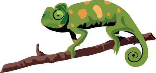 indian chameleon png on a branch