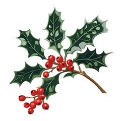 Detailed Close up Image of a Holly Branch with Vibrant Red Berries on a Pristine White Background Showcasing the Natural Beauty and Festive Charm of this Iconic Winter Foliage