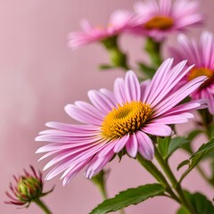 Fototapeta premium artistic template